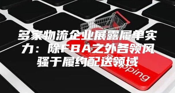多家物流企业展露履单实力：除FBA之外各领风骚于履约配送领域