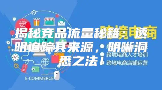 揭秘竞品流量秘籍：透明追踪其来源，明晰洞悉之法！