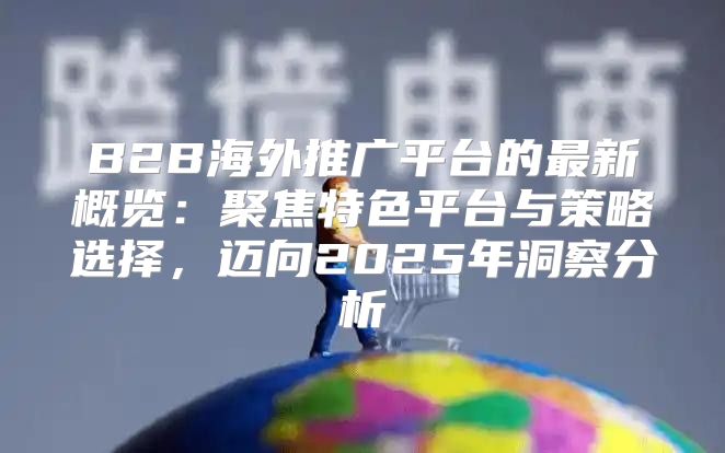 B2B海外推广平台的最新概览：聚焦特色平台与策略选择，迈向2025年洞察分析