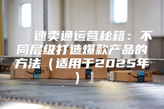 『速卖通运营秘籍：不同层级打造爆款产品的方法适用于2025年』