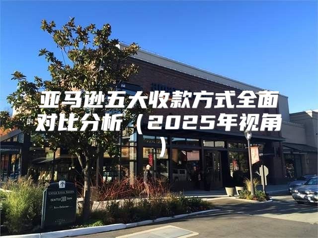 亚马逊五大收款方式全面对比分析2025年视角