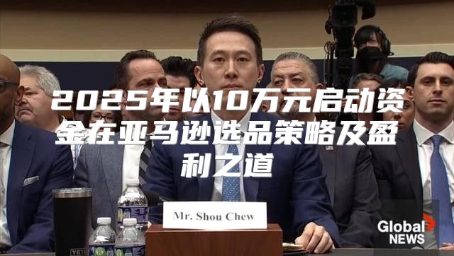 2025年以10万元启动资金在亚马逊选品策略及盈利之道