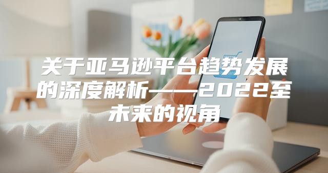 关于亚马逊平台趋势发展的深度解析——2022至未来的视角