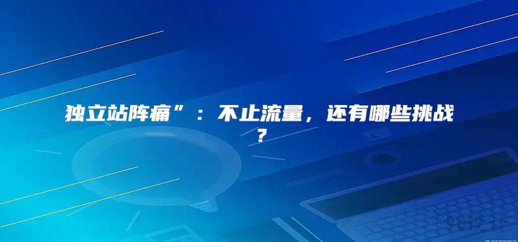 独立站阵痛”：不止流量，还有哪些挑战？