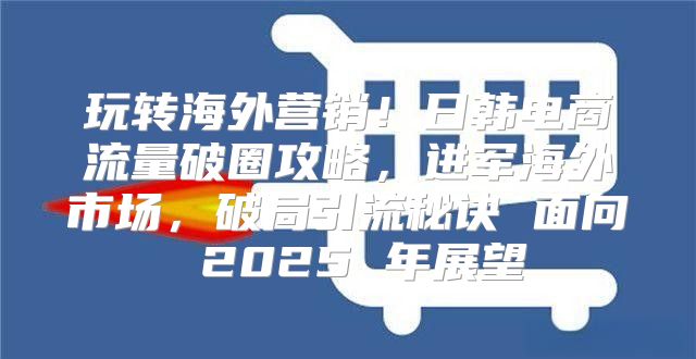 玩转海外营销！日韩电商流量破圈攻略，进军海外市场，破局引流秘诀 面向 2025 年展望