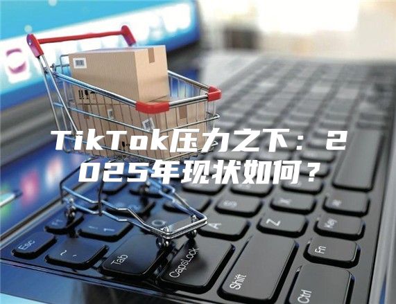 TikTok压力之下：2025年现状如何？