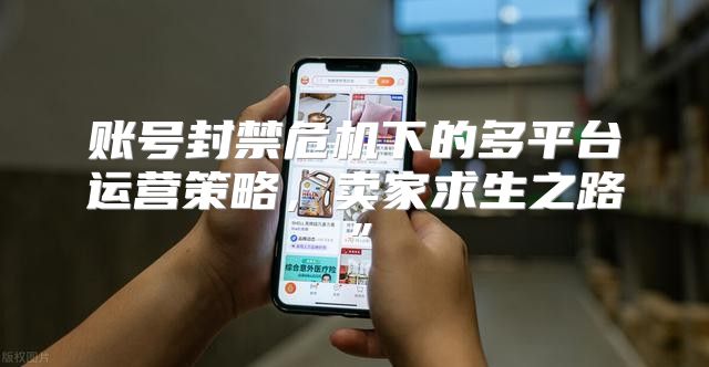 账号封禁危机下的多平台运营策略，卖家求生之路”
