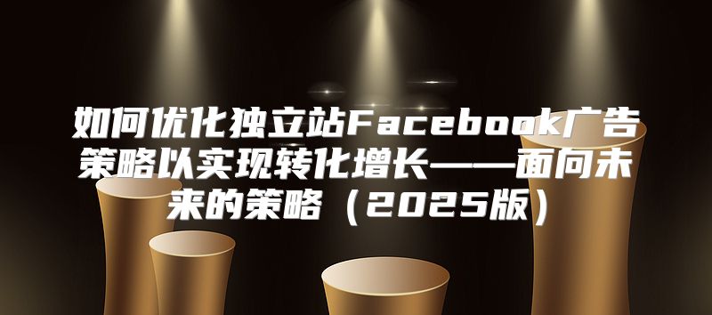 如何优化独立站Facebook广告策略以实现转化增长——面向未来的策略2025版