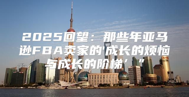 2025回望：那些年亚马逊FBA卖家的'成长的烦恼与成长的阶梯’”