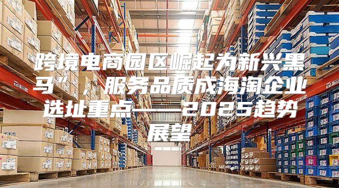 跨境电商园区崛起为新兴黑马”，服务品质成海淘企业选址重点——2025趋势展望
