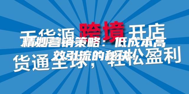 精妙营销策略：低成本高效引流的秘诀！