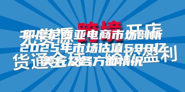 印度尼西亚电商市场剖析2025年市场估值590亿美元及各方面情况