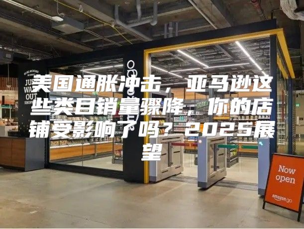 美国通胀冲击，亚马逊这些类目销量骤降，你的店铺受影响了吗？2025展望