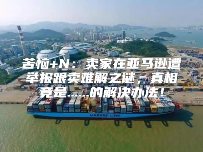 苦恼+N：卖家在亚马逊遭举报跟卖难解之谜，真相竟是......的解决办法！