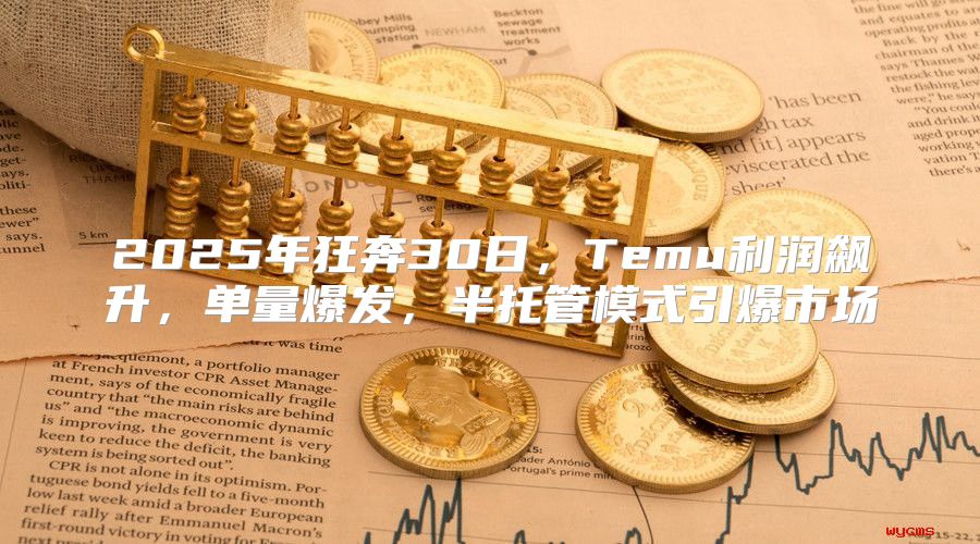 2025年狂奔30日，Temu利润飙升，单量爆发，半托管模式引爆市场