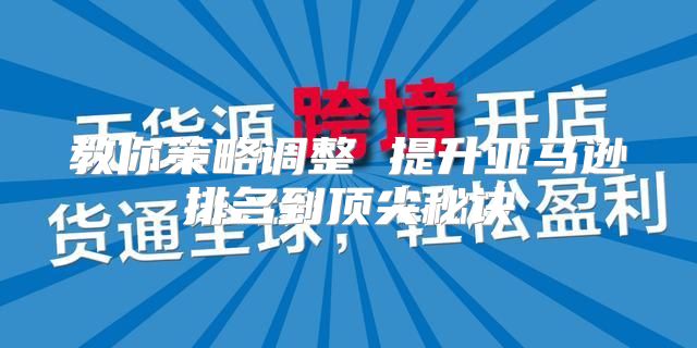 教你策略调整 提升亚马逊排名到顶尖秘诀