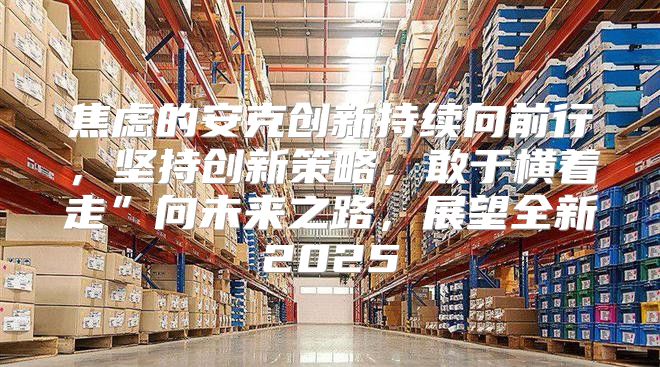 焦虑的安克创新持续向前行，坚持创新策略，敢于横着走”向未来之路，展望全新2025