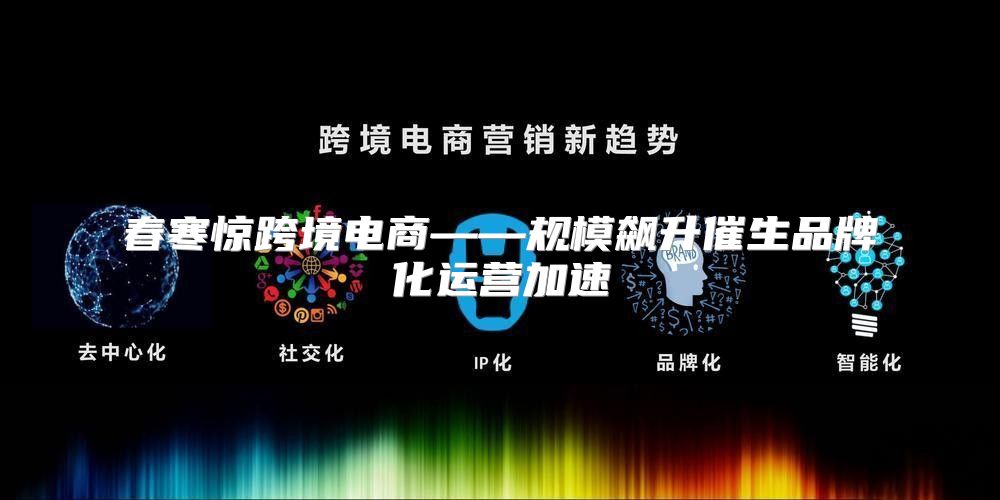 春寒惊跨境电商——规模飙升催生品牌化运营加速