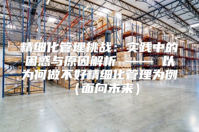 精细化管理挑战：实践中的困惑与原因解析 —— 以为何做不好精细化管理为例面向未来