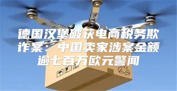 德国汉堡破获电商税务欺诈案：中国卖家涉案金额逾七百万欧元警闻