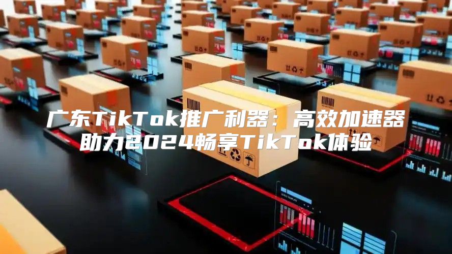 广东TikTok推广利器：高效加速器助力2025畅享TikTok体验