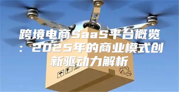 跨境电商SaaS平台概览：2025年的商业模式创新驱动力解析