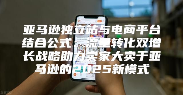 亚马逊独立站与电商平台结合公式：流量转化双增长战略助力卖家大卖于亚马逊的2025新模式