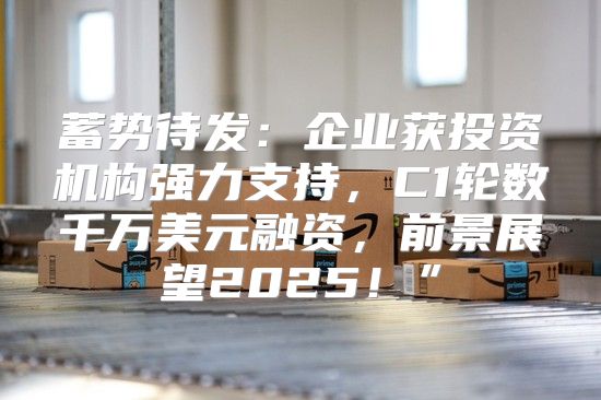 蓄势待发：企业获投资机构强力支持，C1轮数千万美元融资，前景展望2025！”