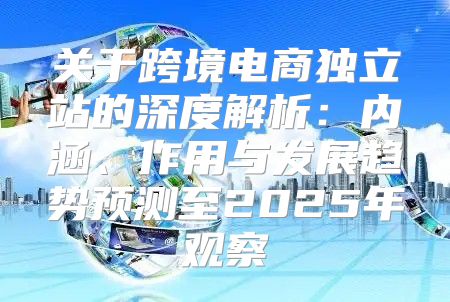 关于跨境电商独立站的深度解析：内涵、作用与发展趋势预测至2025年观察