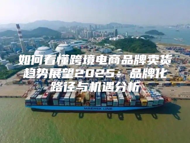 如何看懂跨境电商品牌卖货趋势展望2025品牌化路径与机遇分析