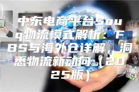 中东电商平台Souq物流模式解析：FBS与海外仓详解，洞悉物流新动向2025版