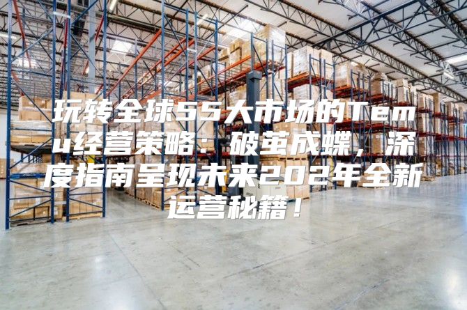 玩转全球55大市场的Temu经营策略：破茧成蝶，深度指南呈现未来202年全新运营秘籍！