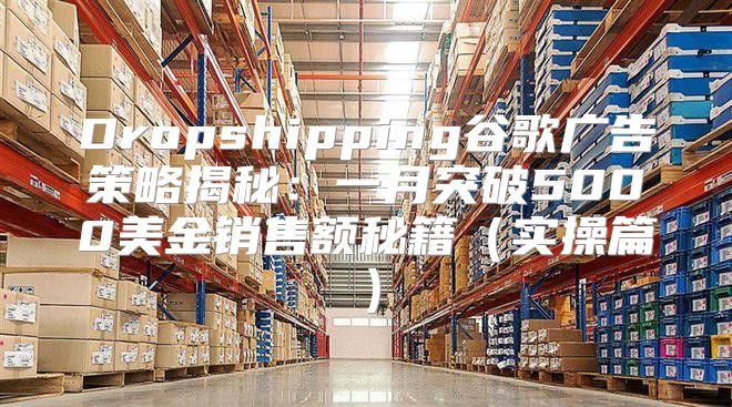 Dropshipping谷歌广告策略揭秘：一月突破5000美金销售额秘籍实操篇
