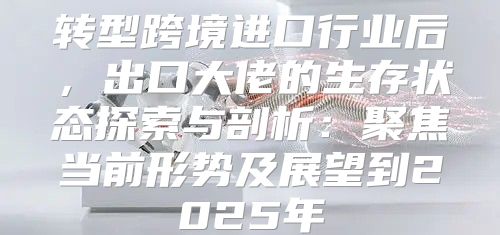 转型跨境进口行业后，出口大佬的生存状态探索与剖析：聚焦当前形势及展望到2025年