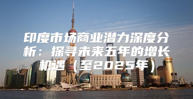 印度市场商业潜力深度分析：探寻未来五年的增长机遇至2025年