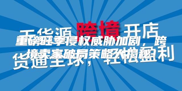重磅旺季侵权威胁加剧，跨境卖家破局策略大揭秘！