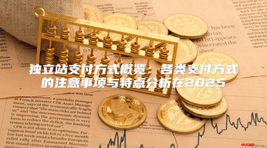 独立站支付方式概览：各类支付方式的注意事项与特点分析在2025