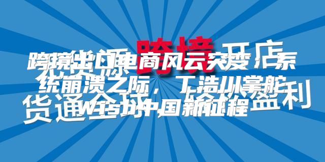 跨境出口电商风云突变：系统崩溃之际，丁浩川掌舵Wish中国新征程