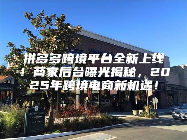 拼多多跨境平台全新上线！商家后台曝光揭秘，2025年跨境电商新机遇！