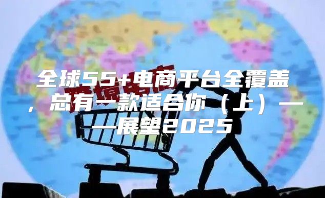 全球55+电商平台全覆盖，总有一款适合你上——展望2025