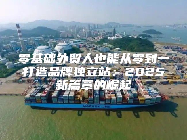 零基础外贸人也能从零到一打造品牌独立站：2025新篇章的崛起