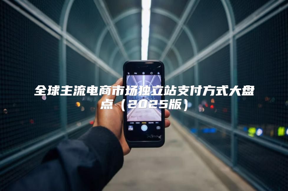 全球主流电商市场独立站支付方式大盘点2025版