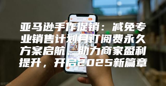 亚马逊手作促销：减免专业销售计划月订阅费永久方案启航，助力商家盈利提升，开启2025新篇章