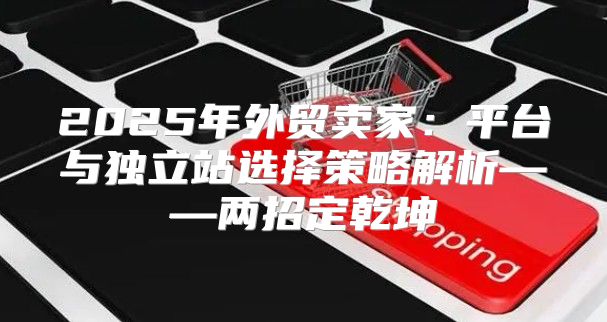 2025年外贸卖家：平台与独立站选择策略解析——两招定乾坤