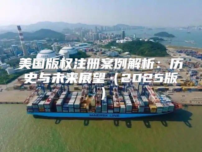美国版权注册案例解析：历史与未来展望2025版
