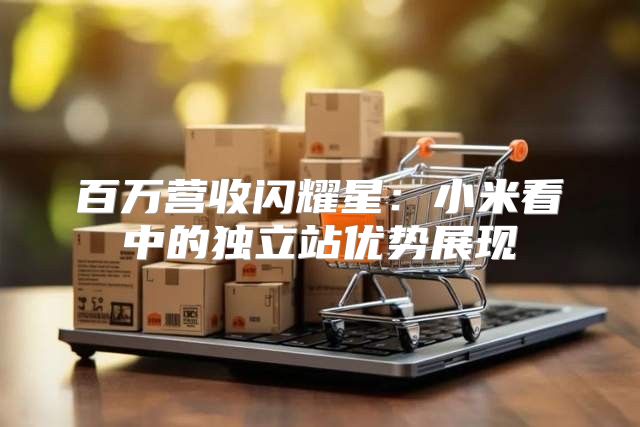百万营收闪耀星：小米看中的独立站优势展现