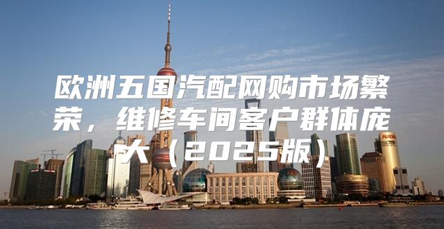 欧洲五国汽配网购市场繁荣，维修车间客户群体庞大2025版