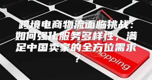跨境电商物流面临挑战：如何强化服务多样性，满足中国卖家的全方位需求？