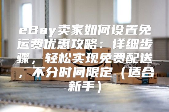 eBay卖家如何设置免运费优惠攻略：详细步骤，轻松实现免费配送，不分时间限定适合新手