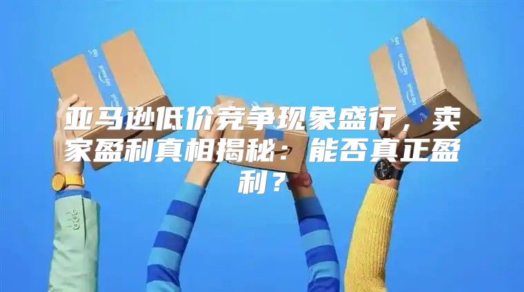 亚马逊低价竞争现象盛行，卖家盈利真相揭秘：能否真正盈利？
